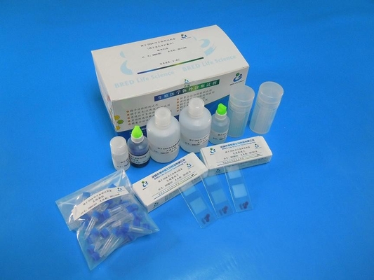 Wright Stain Sperm DNA Fragmentation Test Validated Reagent Kit 40 テスト/キット